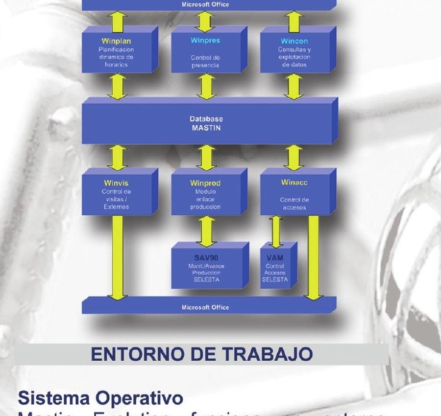 Diagrama de módulos de Mastin Evolution: Winplan, Winpres, Wincon, Winvis, Winprod y Winacc sobre base de datos única